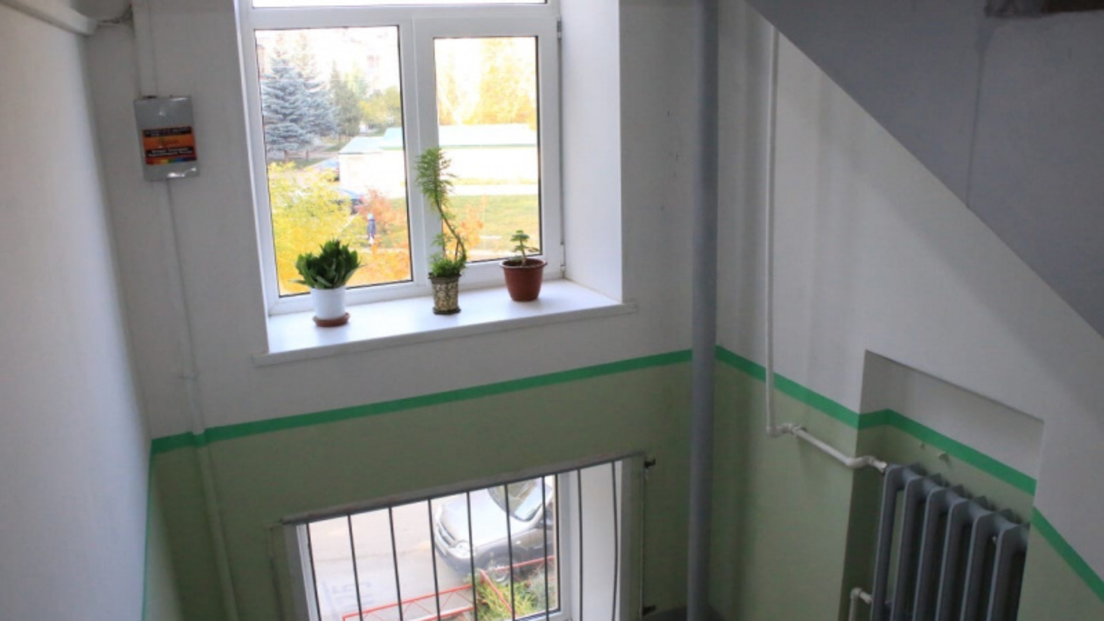 Фото со страницы Радия Хабирова в соцсетях.