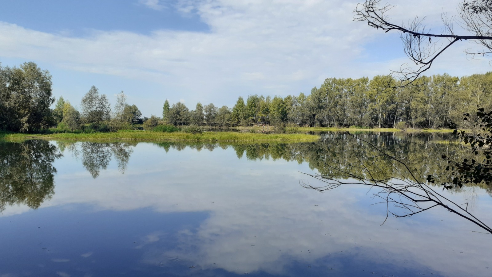 Владимира Шакиева.