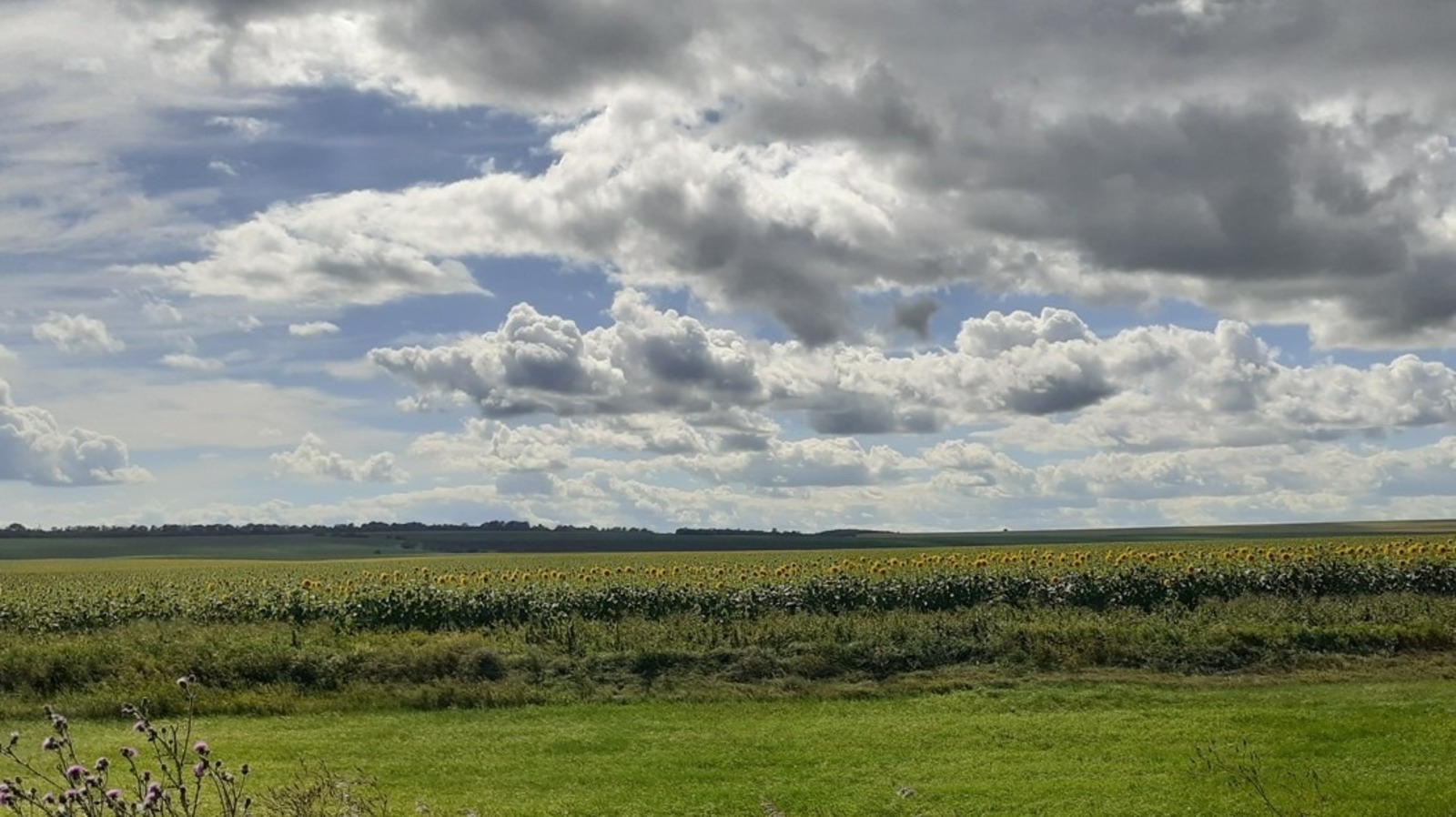 Владимира Шакиева.