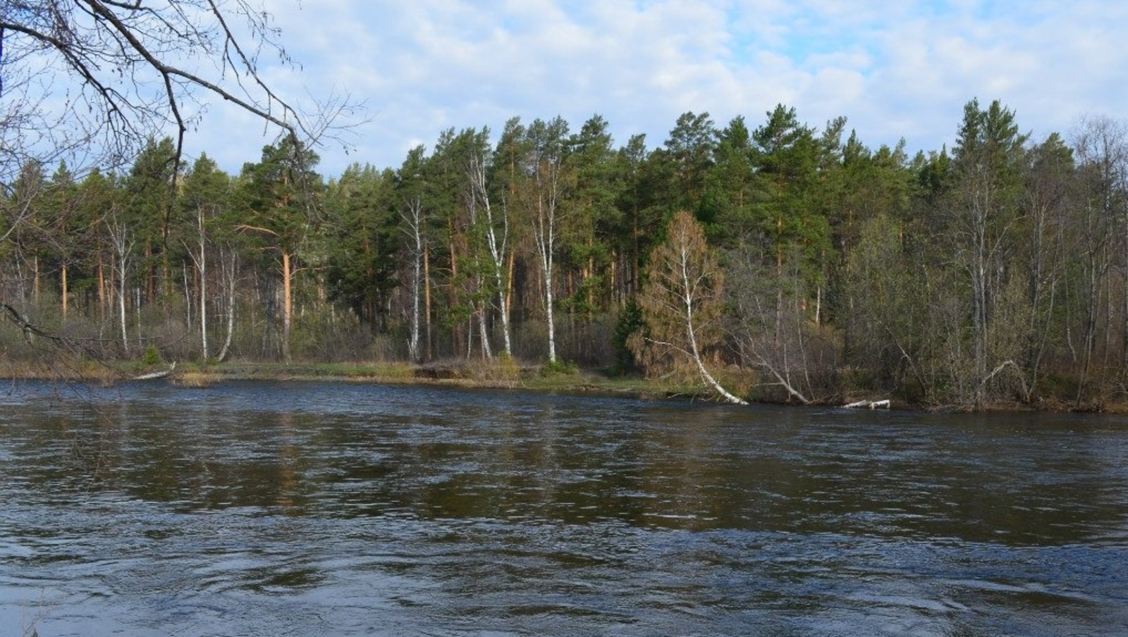 Владимира Шакиева. "Общественная электронная газета".