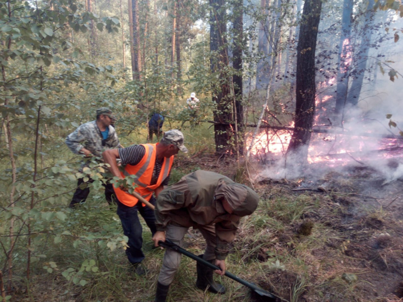 Фото предоставлено пресс-службой Минлесхоза РБ.