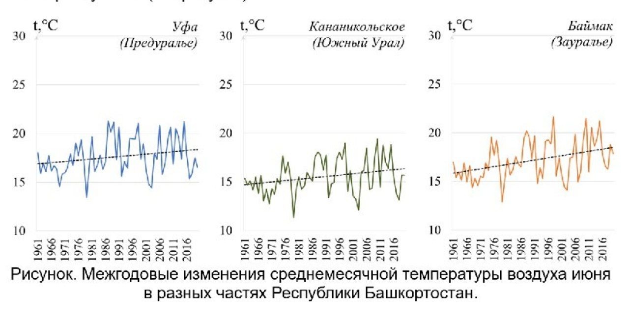 Предоставлено Ритой Камаловой.