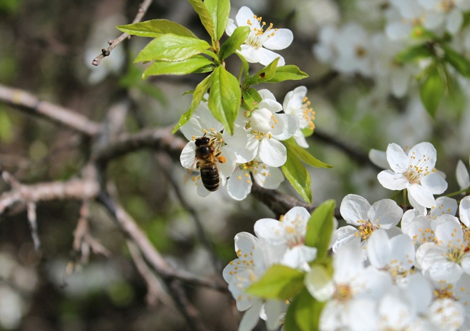 Фото автора.