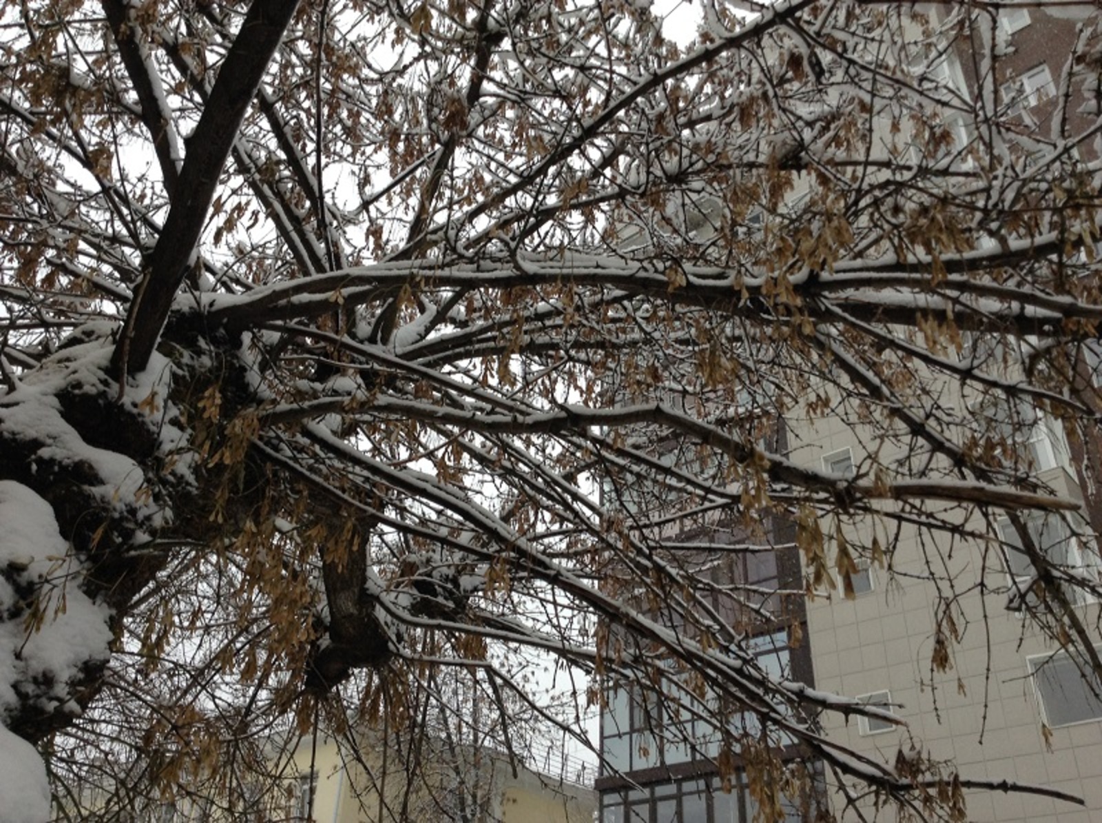 Фото Васили Саитовой.