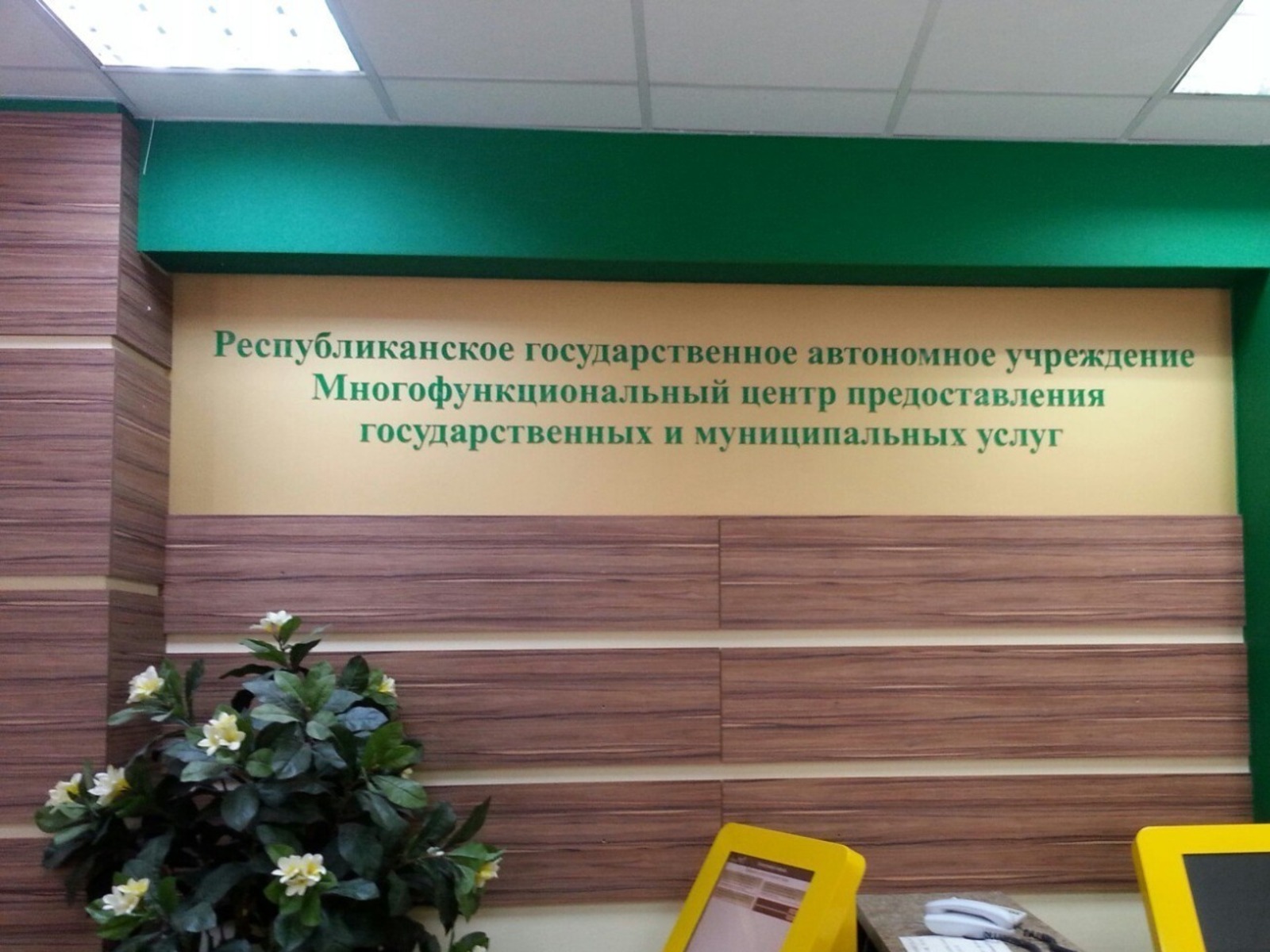 Дарьи Святохиной.