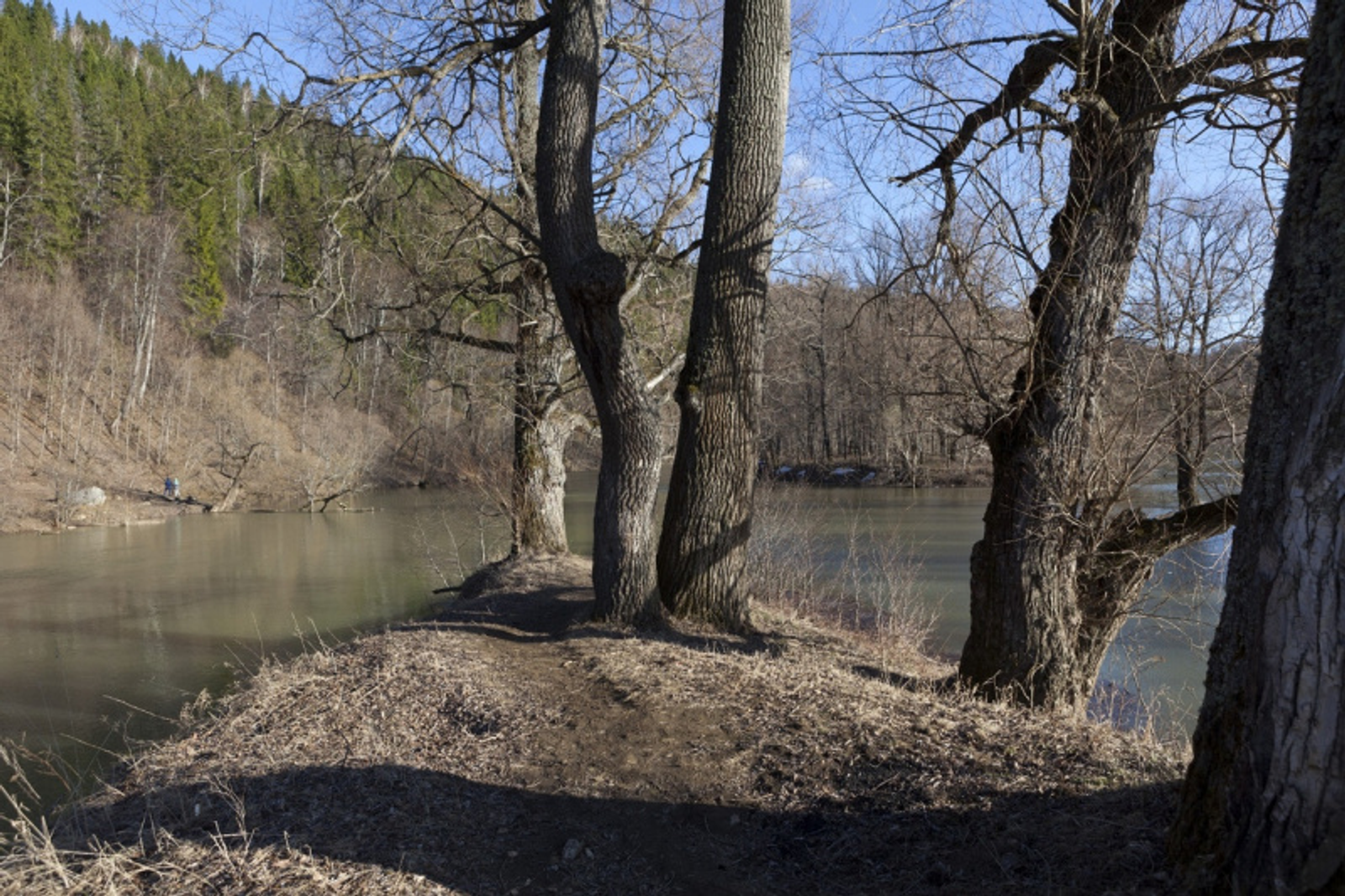 Фото Фаиля Абсатарова.