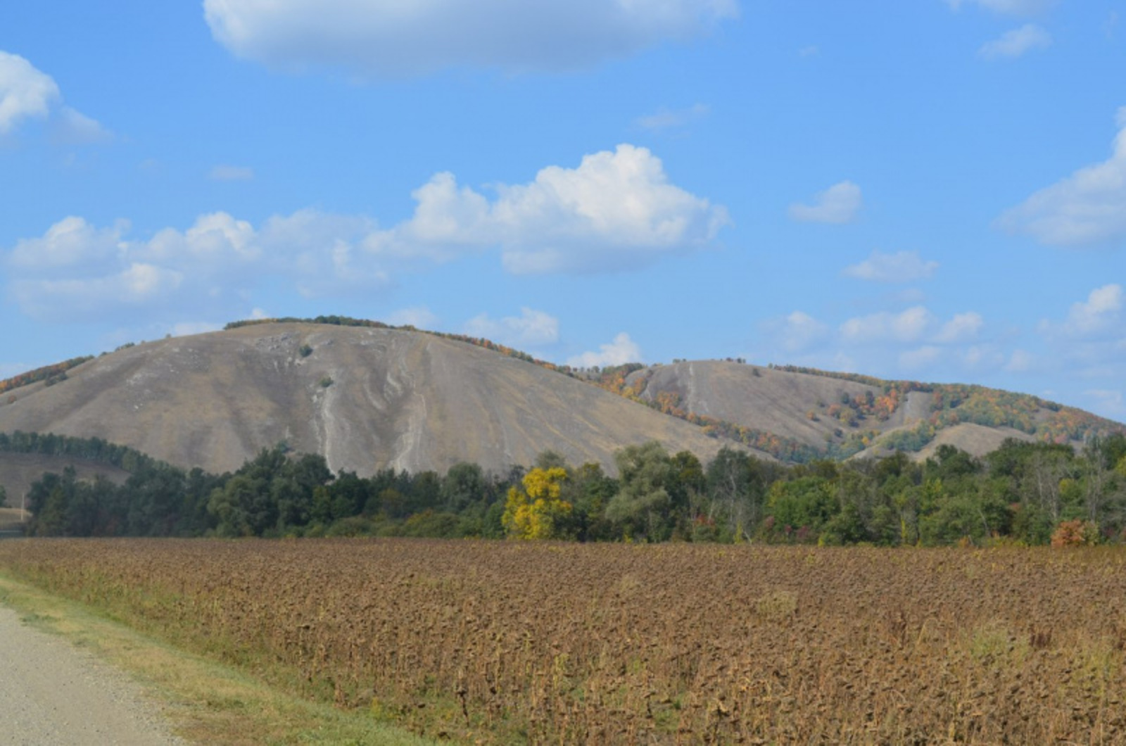 Фото автора.