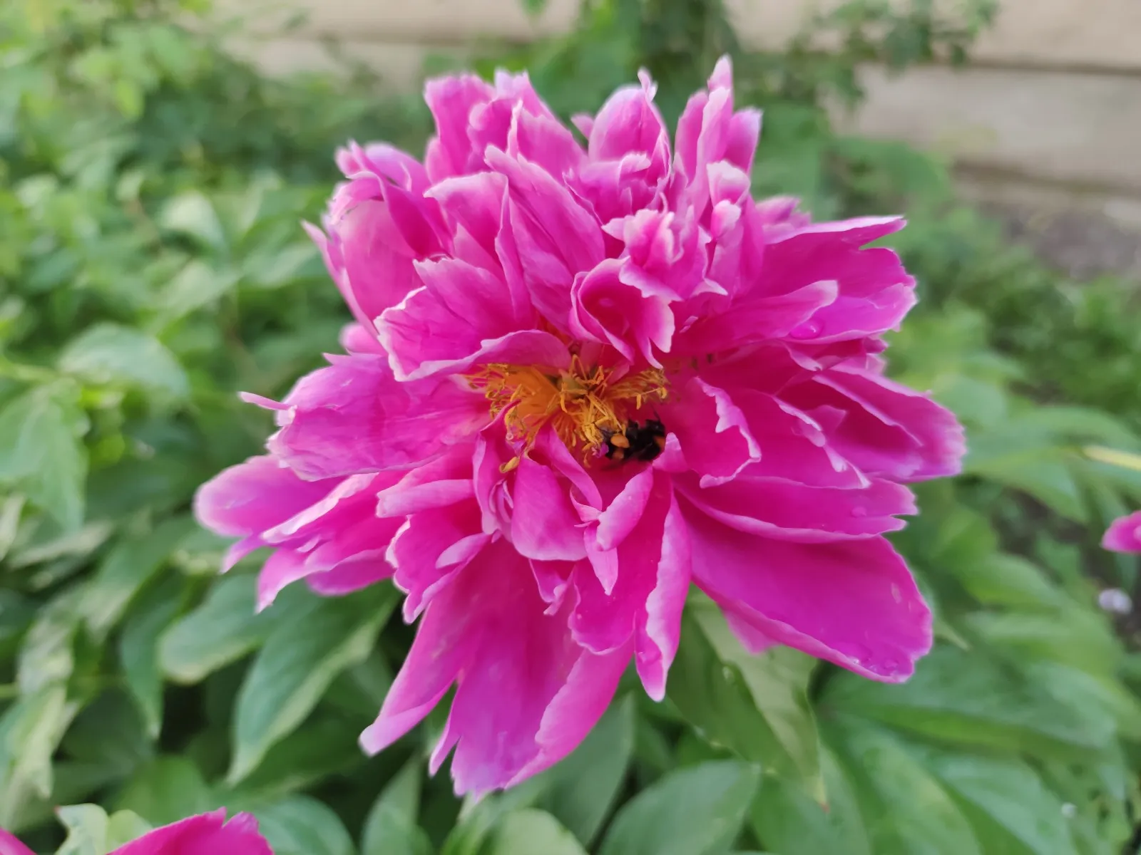 Дарьи Святохиной.