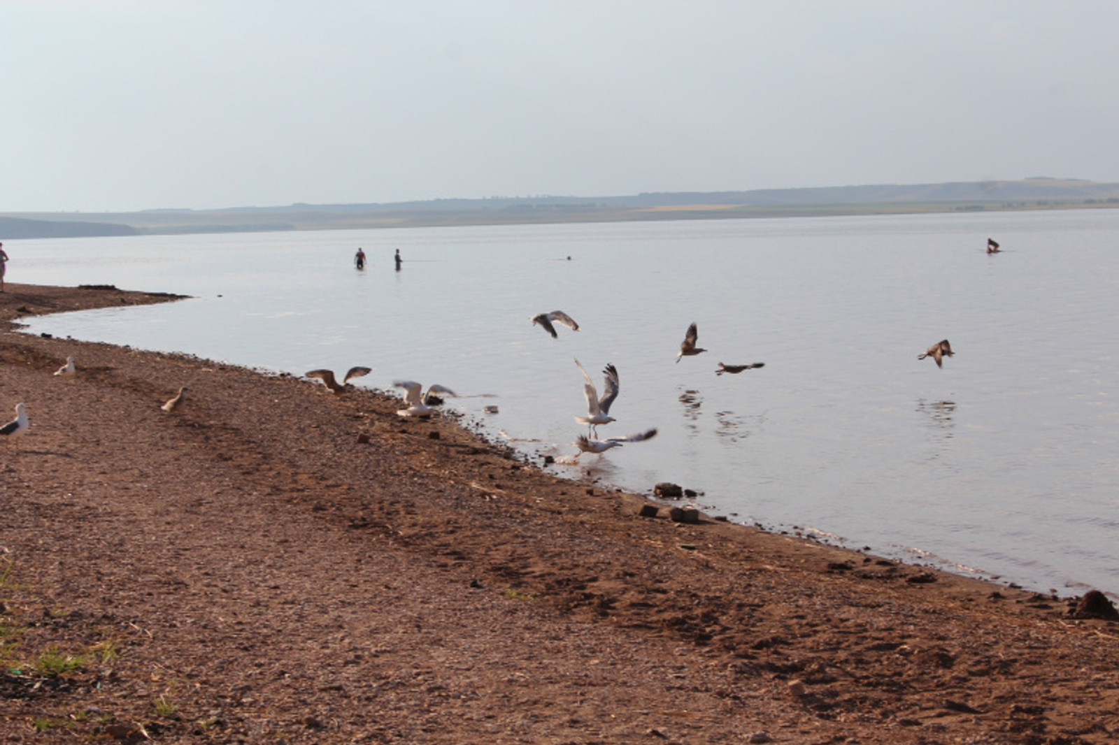 Фото автора.