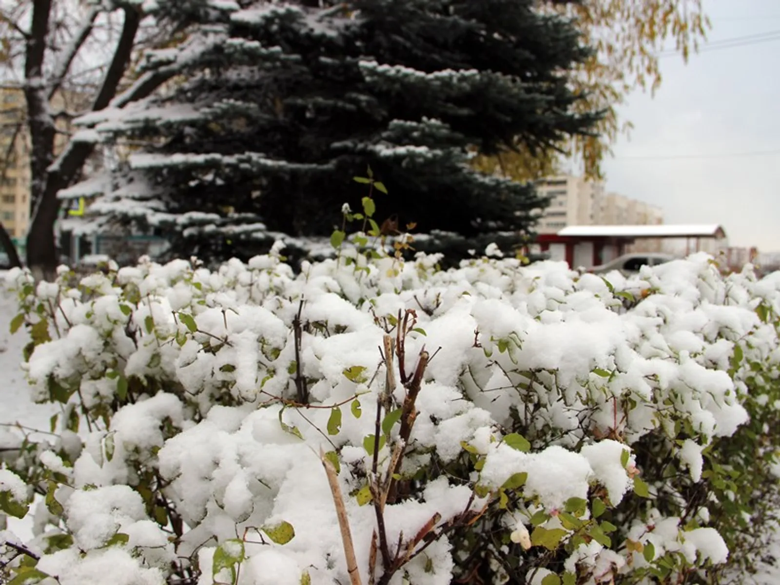 Фото Олега Яровикова.