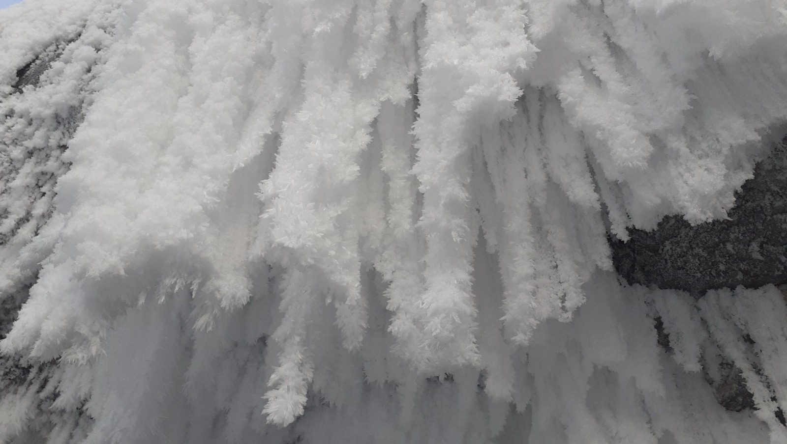 Владимира Шакиева. «Общественная электронная газета».