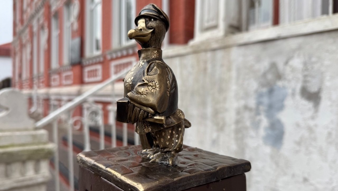 Елены Колоколовой. «Общественная электронная газета». Гусь-ремесленник в Стерлитамаке.