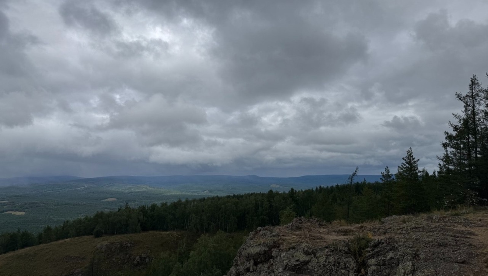 Елены Колоколовой.