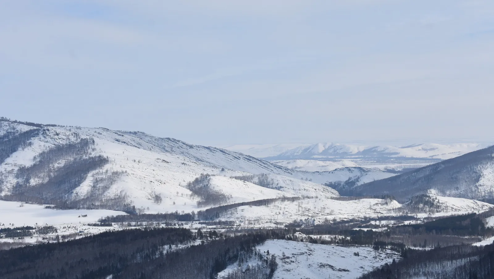 Елены Колоколовой.