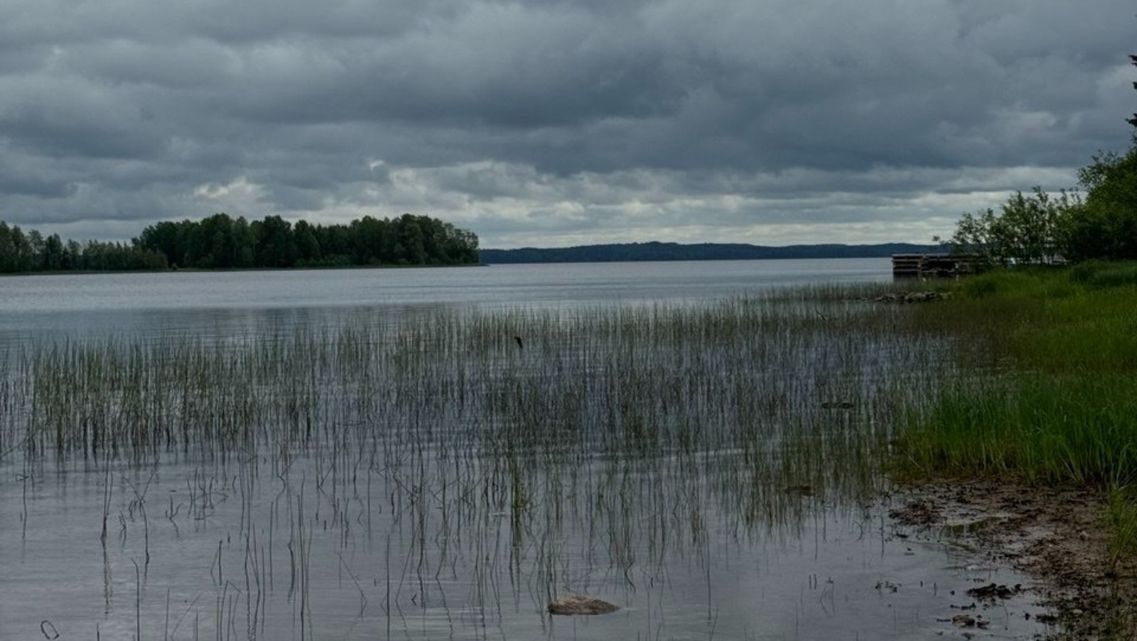 Елены Колоколовой.