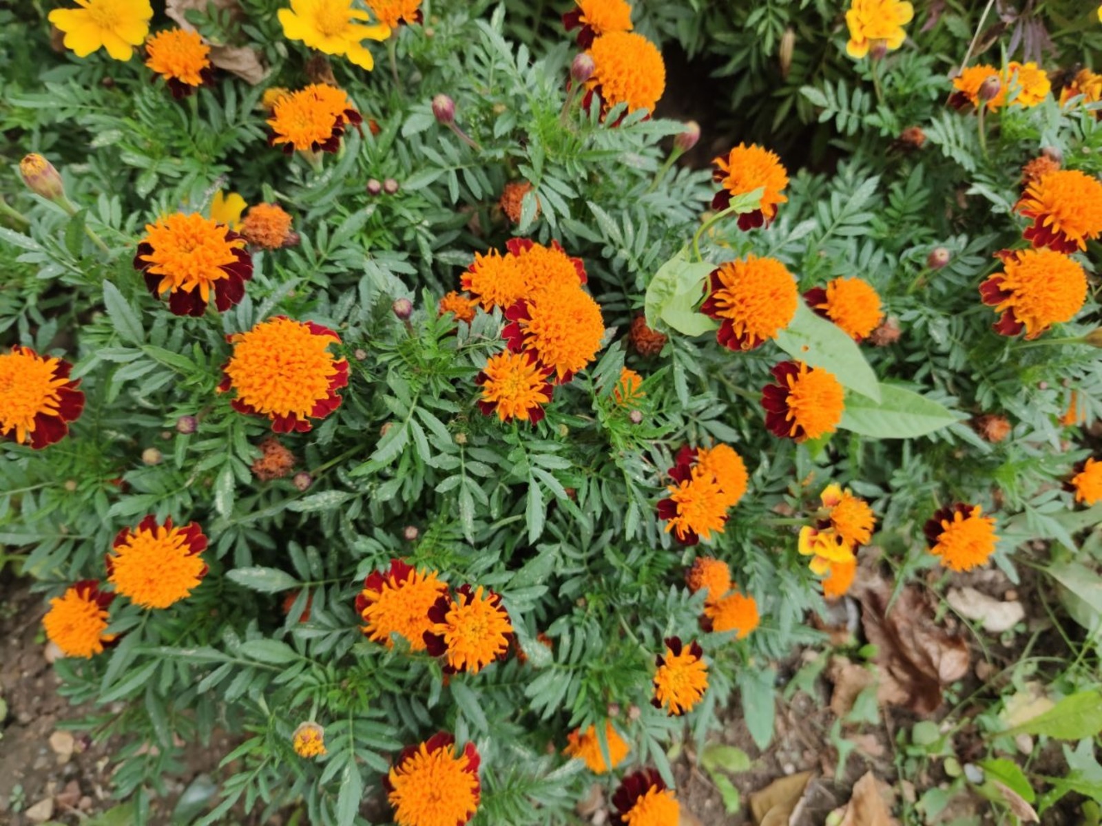 Дарьи Святохиной.