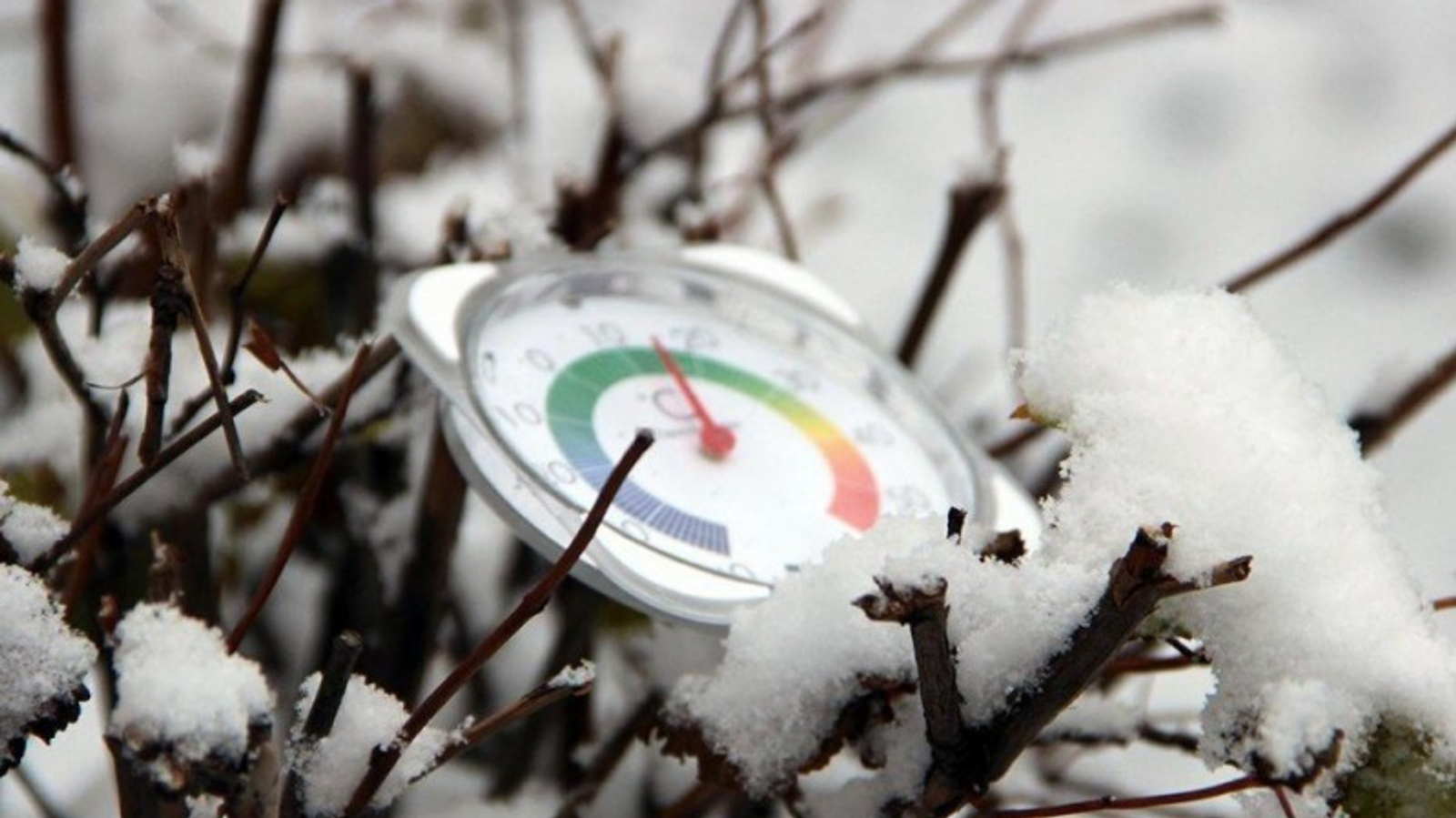 Фото Олега Яровикова.