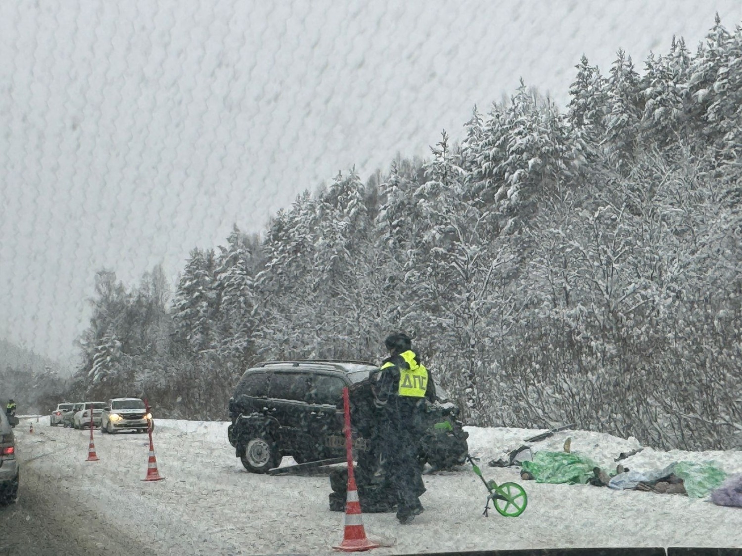 Елены Колоколовой.