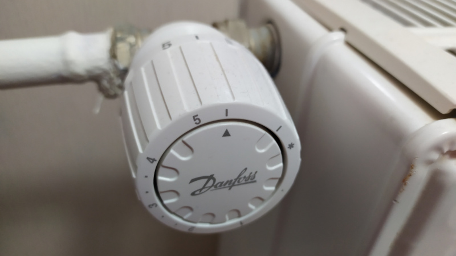 Фото Васили Саитовой.