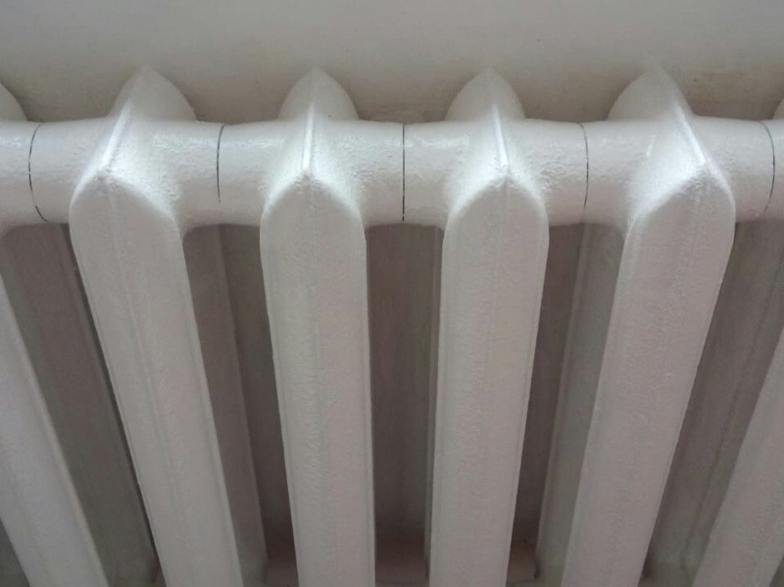 Евгении Сюткиной.