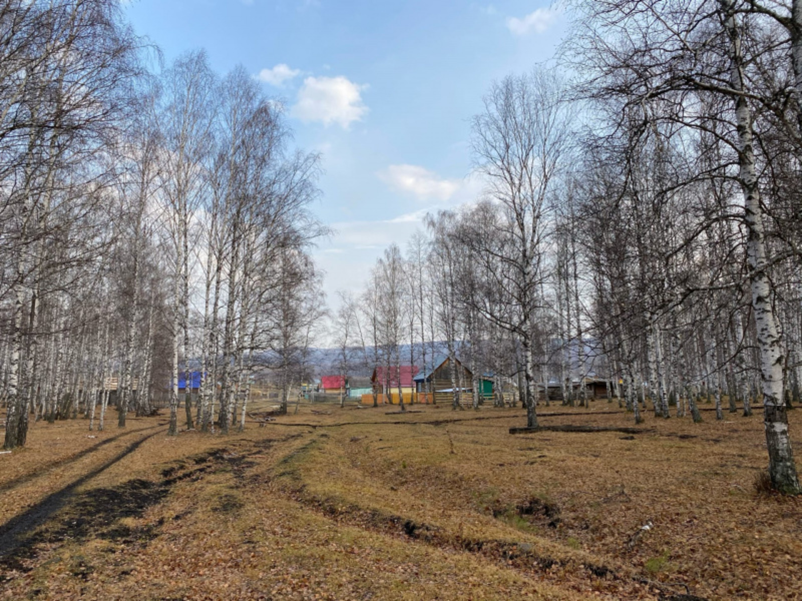 Фото автора.