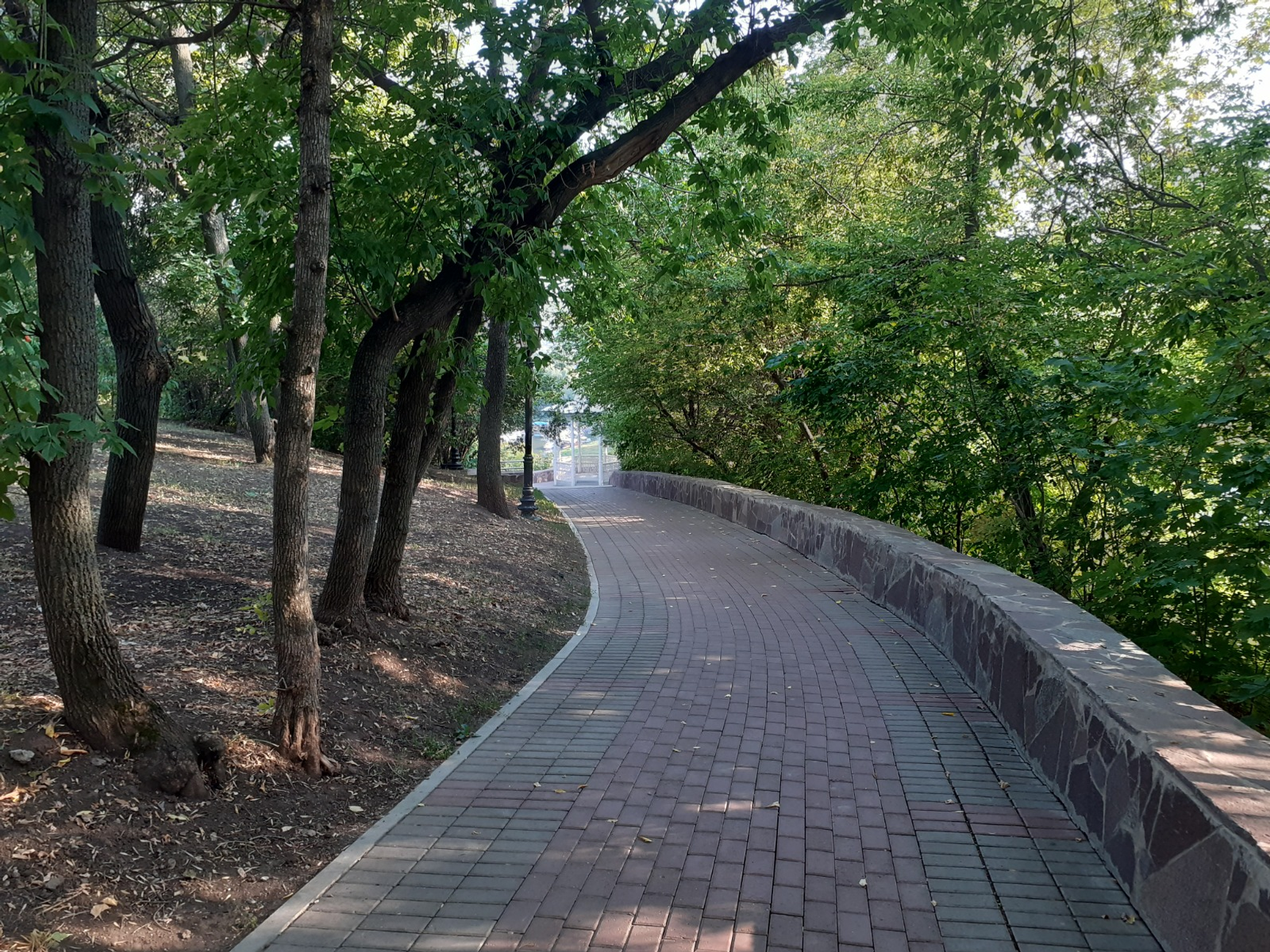 Владимира Шакиева.