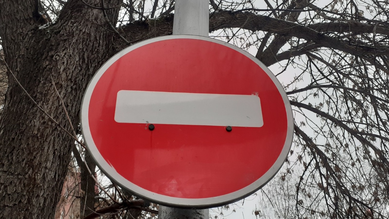 Владимира Шакиева. «Общественная электронная газета».