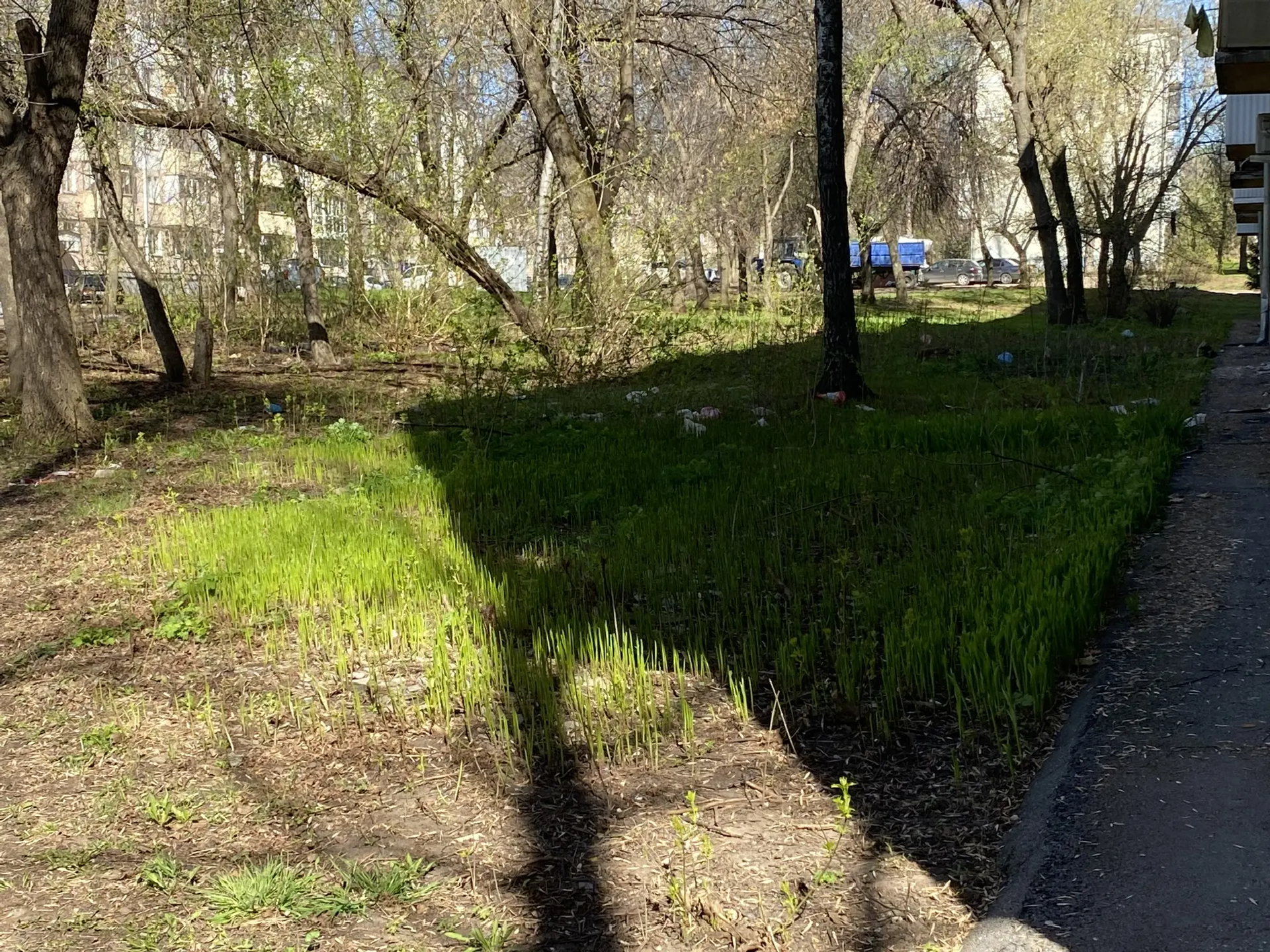 предоставлено жильцами дома. предоставлено жильцами дома.