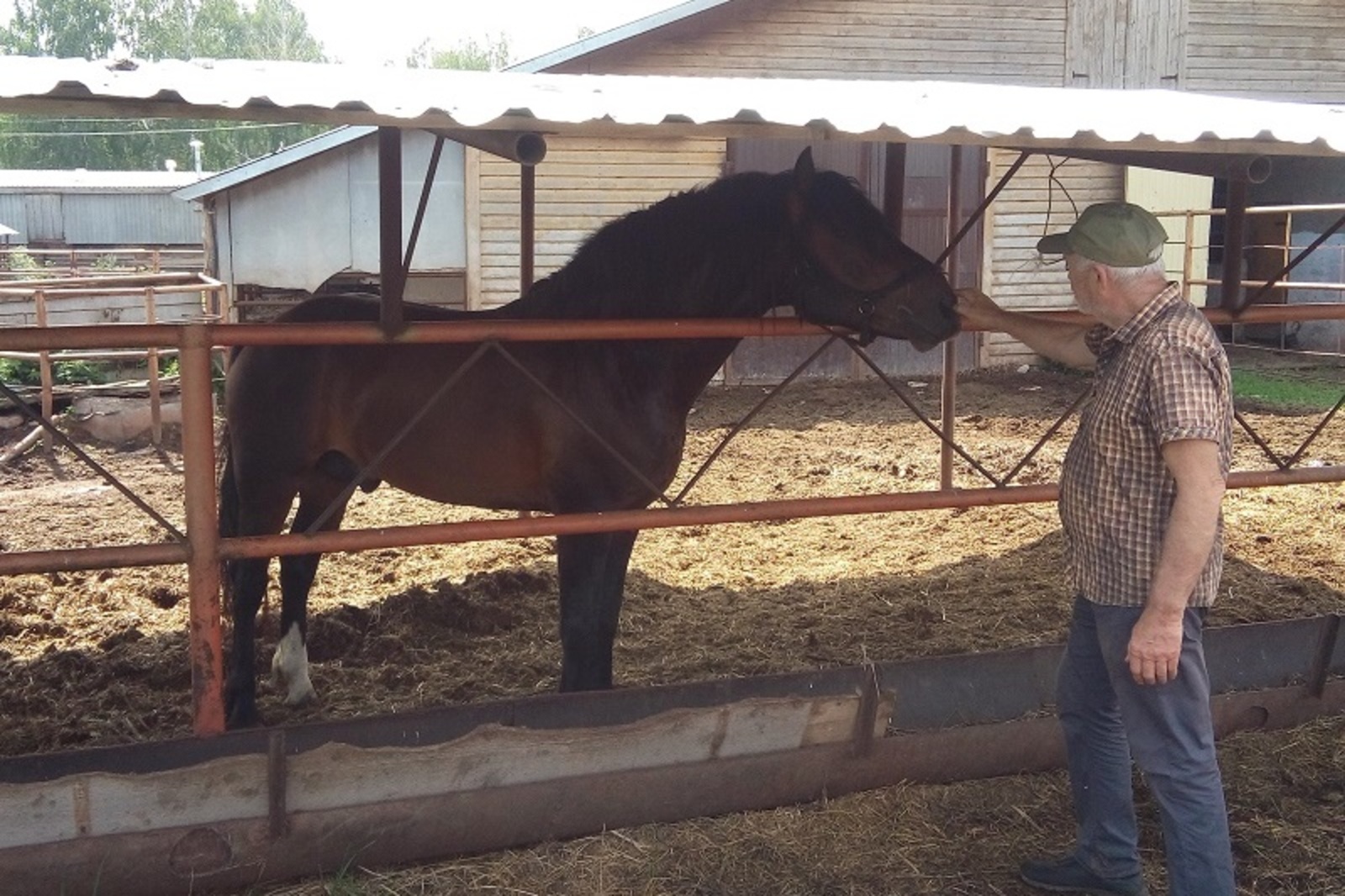 Фото автора.