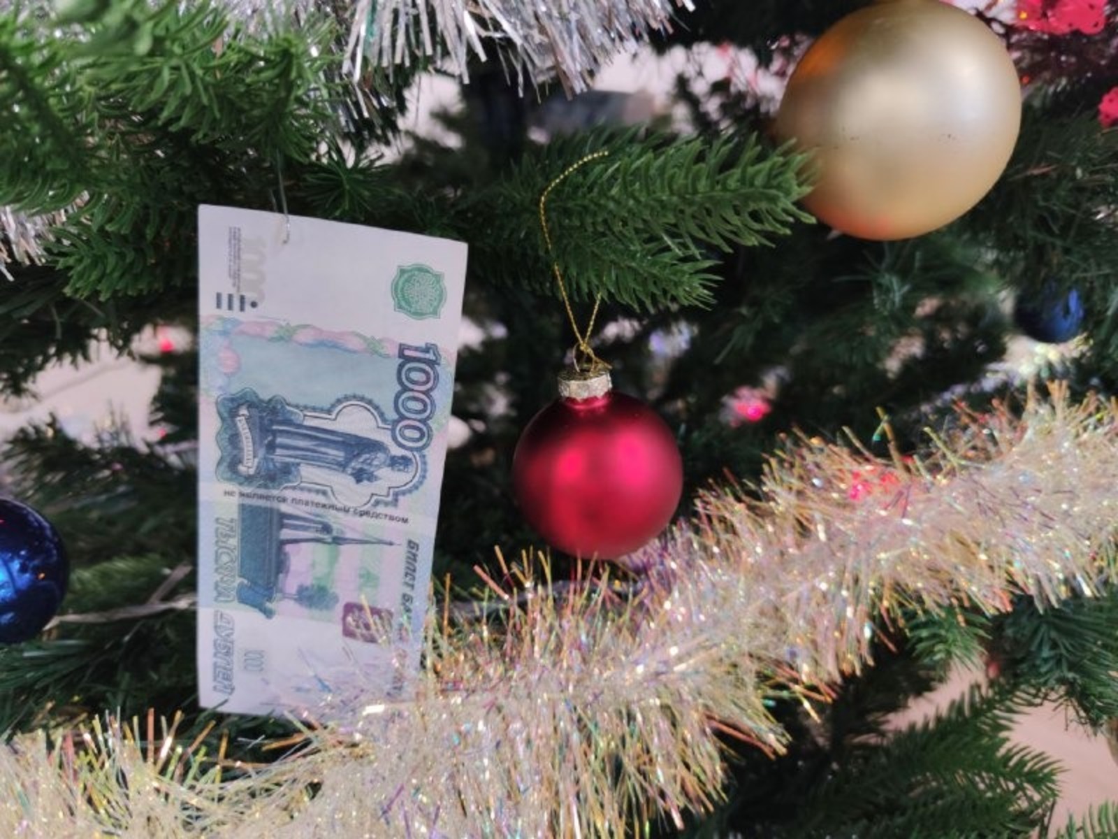 Дарьи Святохиной. «Общественная электронная газета».