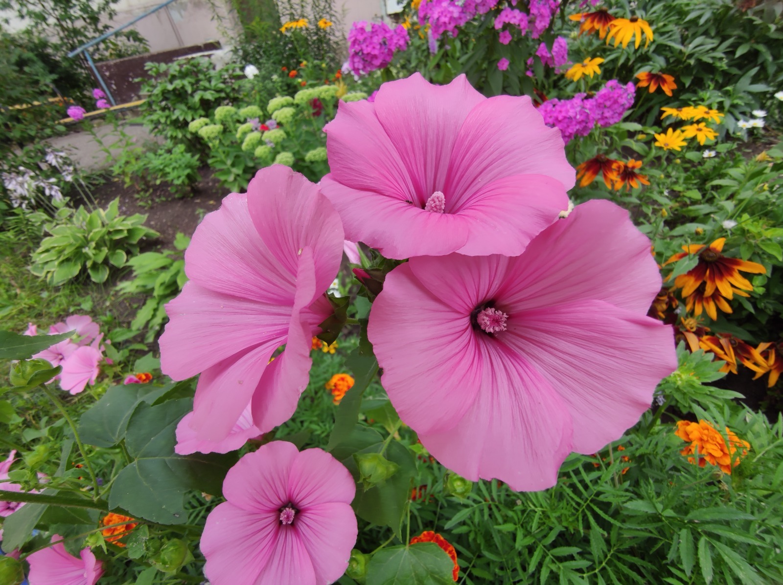 Дарьи Святохиной.