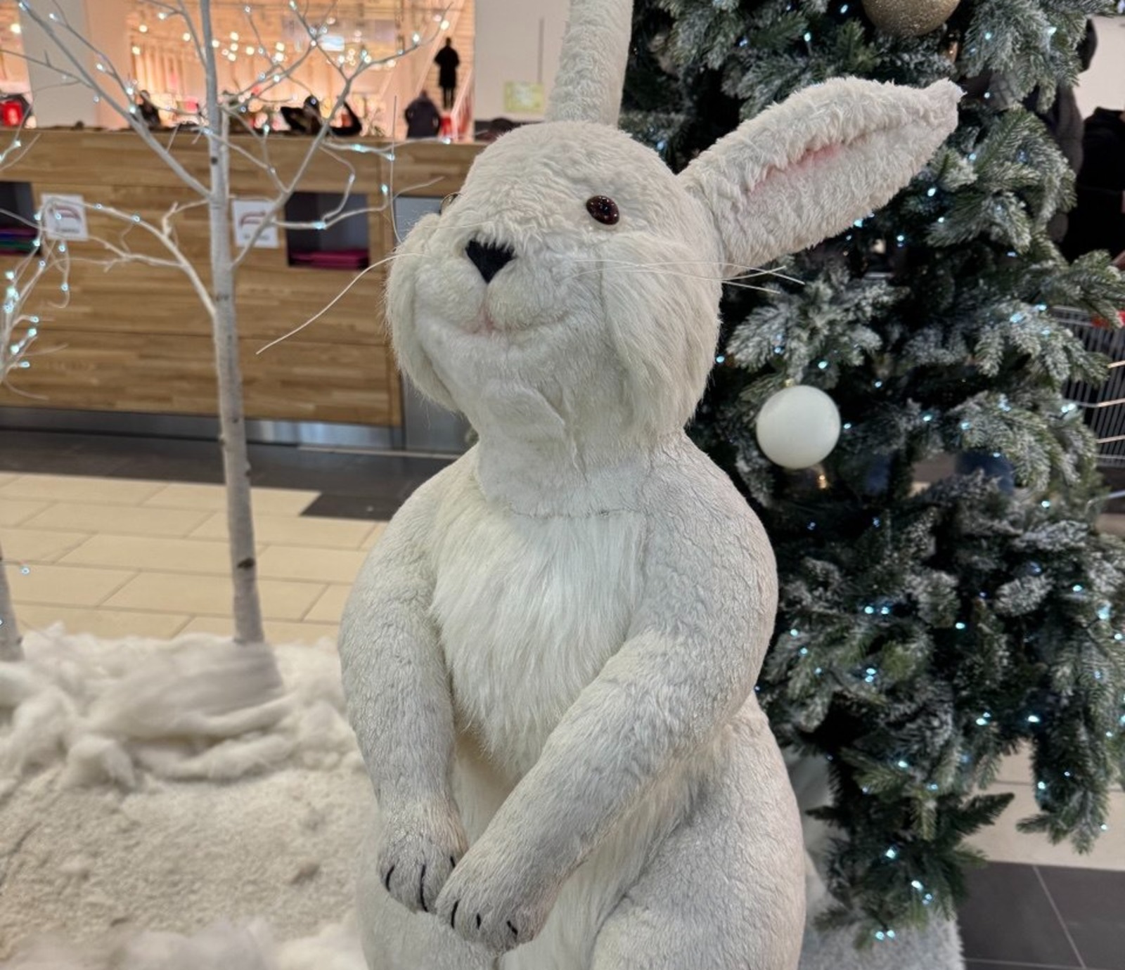 Елены Колоколовой.  «Общественная электронная газета».