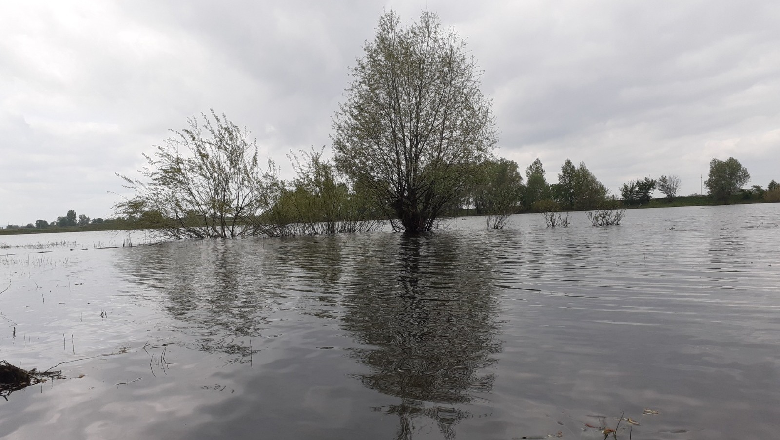 Владимира Шакиева.