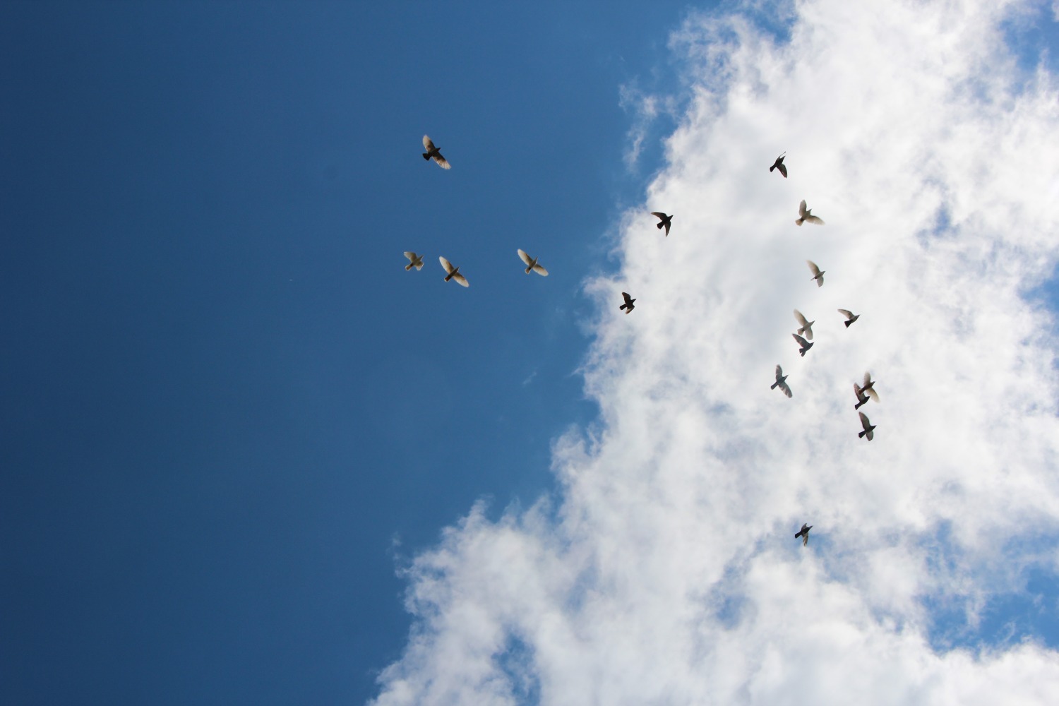 Евгении Сюткиной.