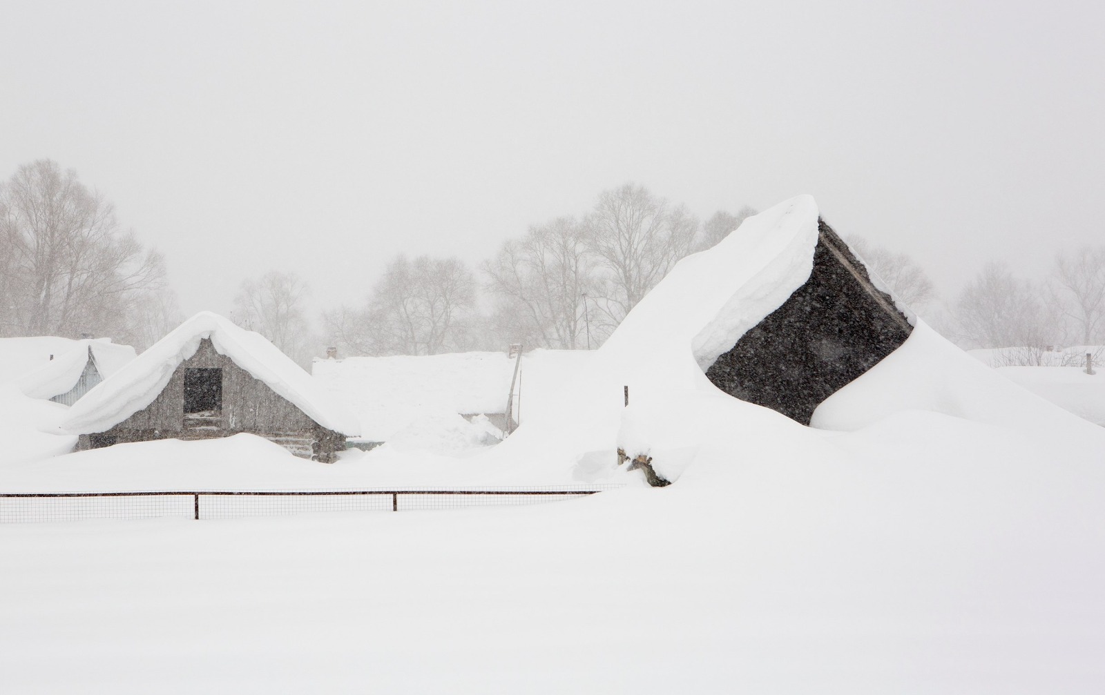 Евгении Сюткиной. «Общественная электронная газета».