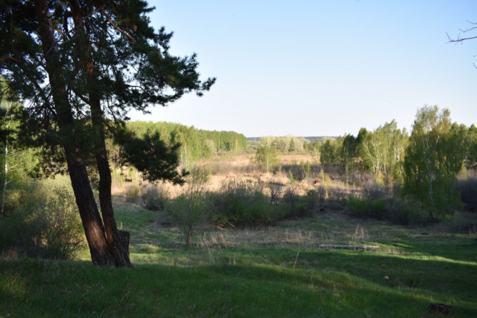 Фото автора.