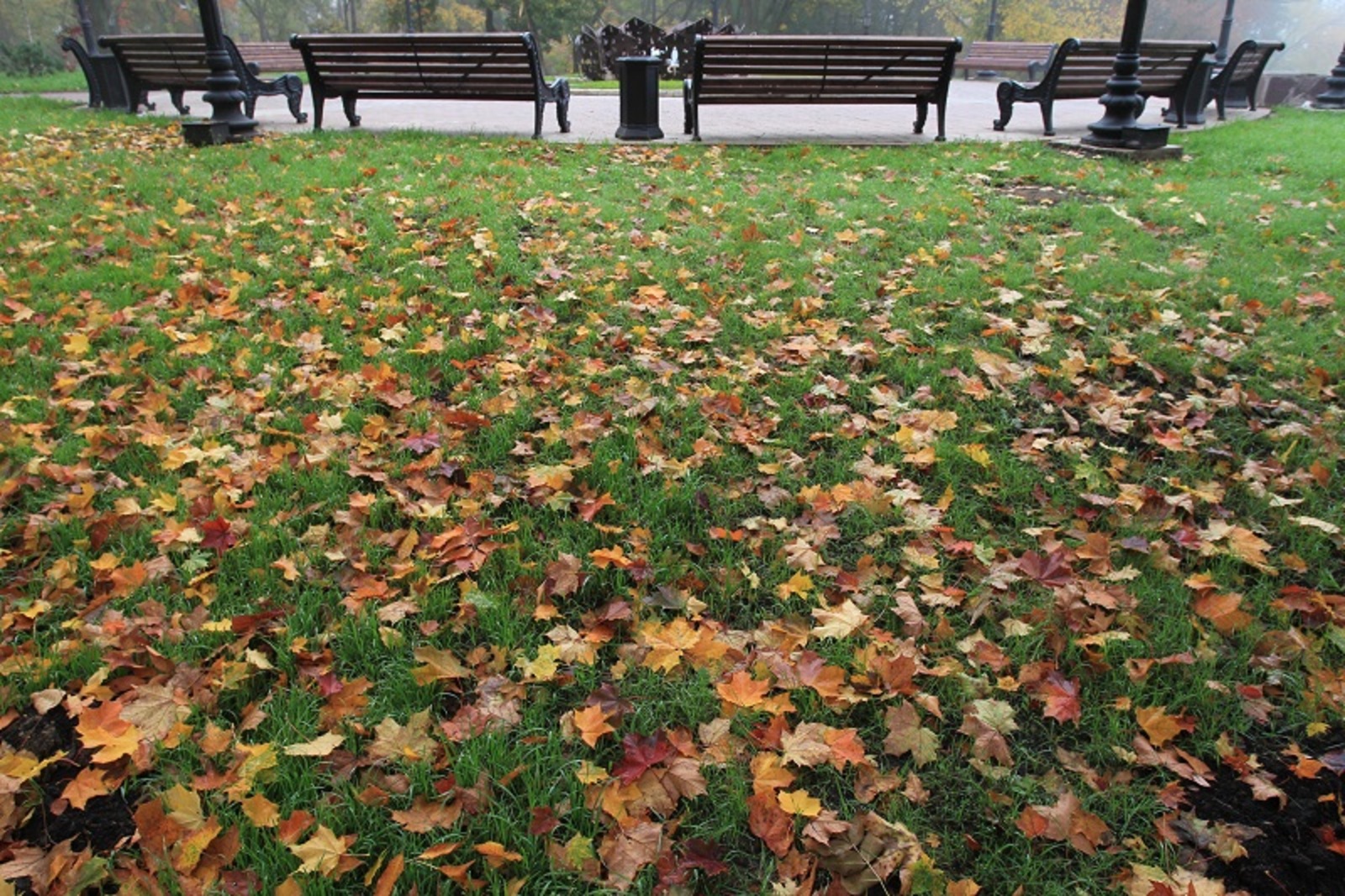 Фото Олега Яровикова.