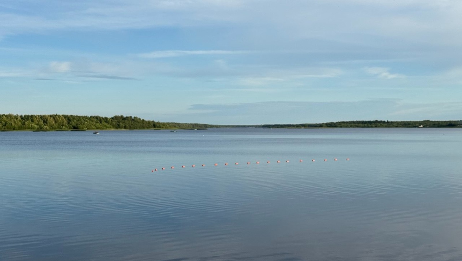 Елены Колоколовой.