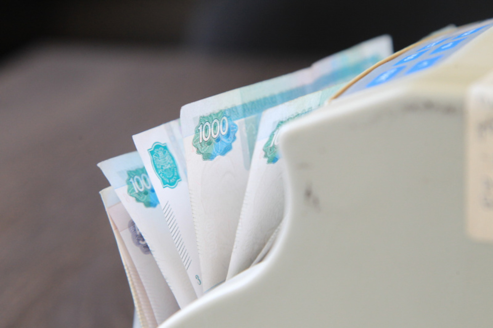 Фото Олега Яровикова.