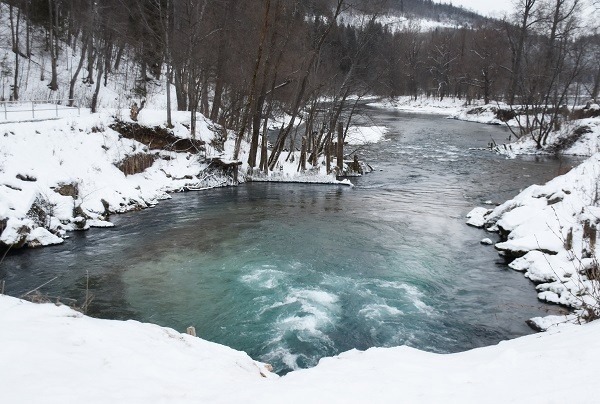 Елены Колоколовой.