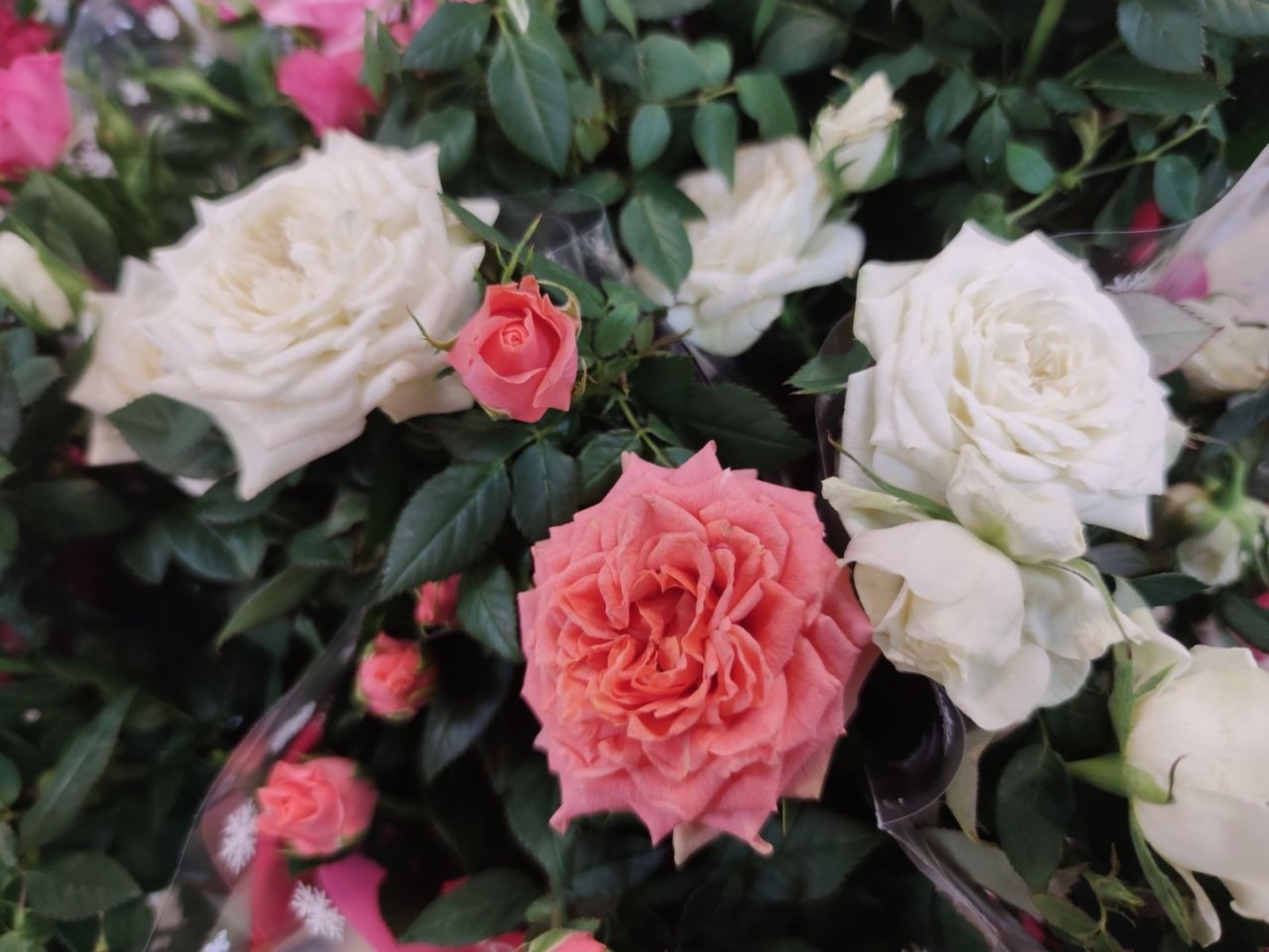 Дарьи Святохиной. «Общественная электронная газета».