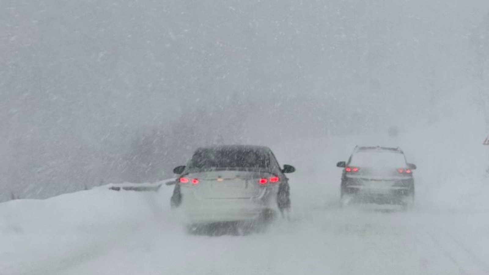 Елены Колоколовой. «Общественная электронная газета».