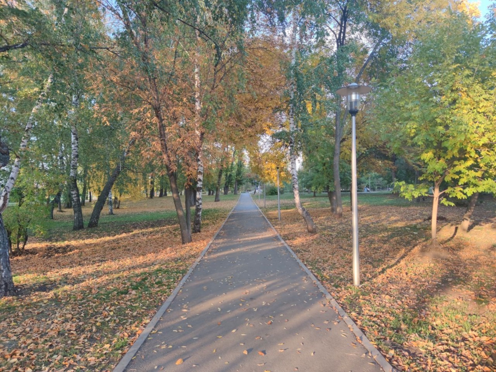 Дарьи Святохиной.