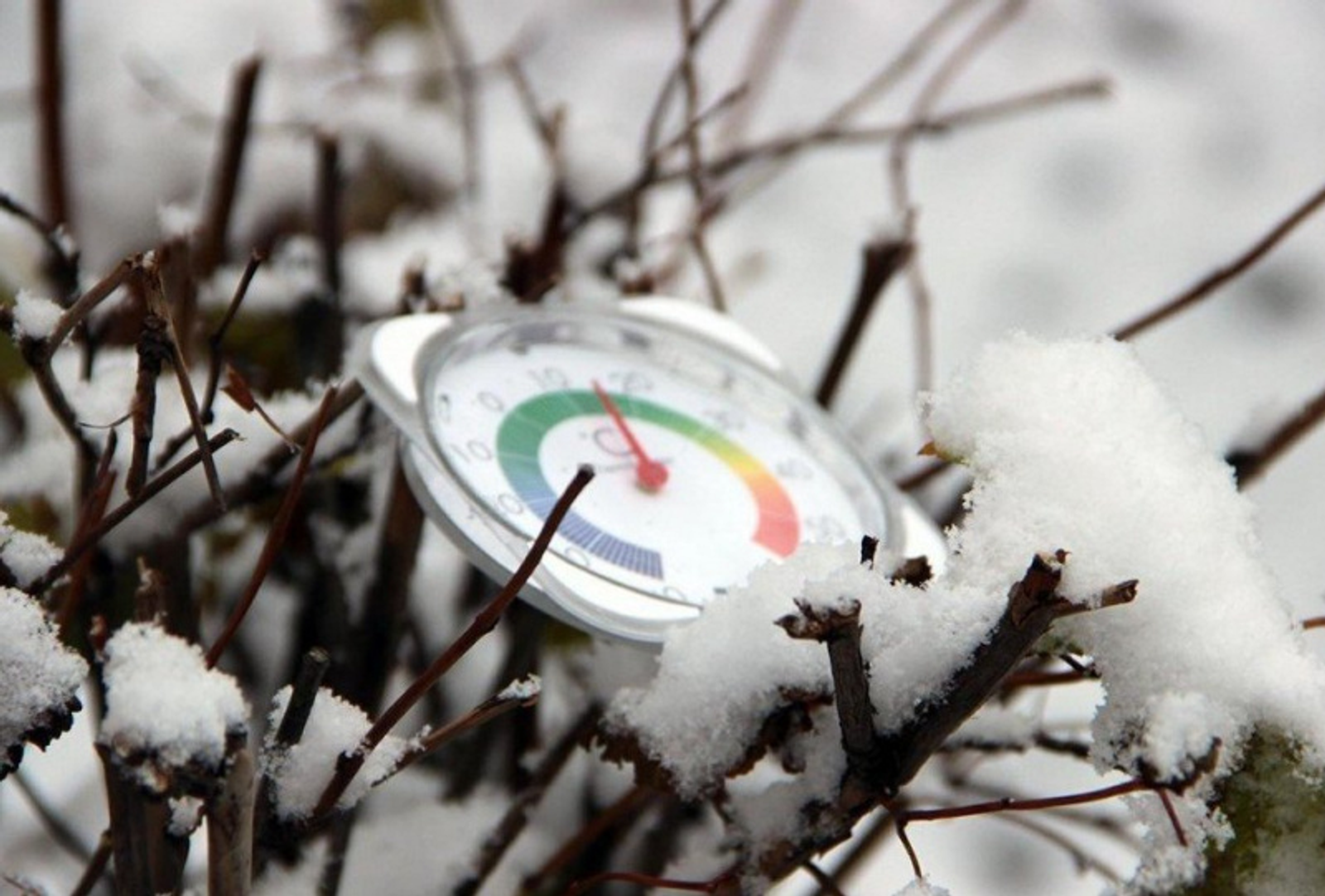 Фото Олега Яровикова.