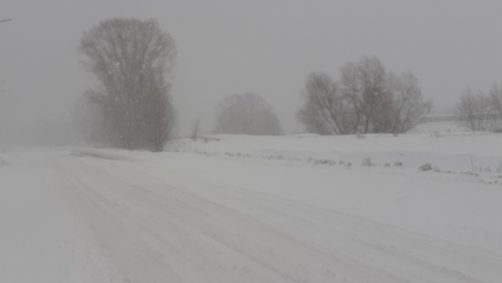 Владимира Шакиева.