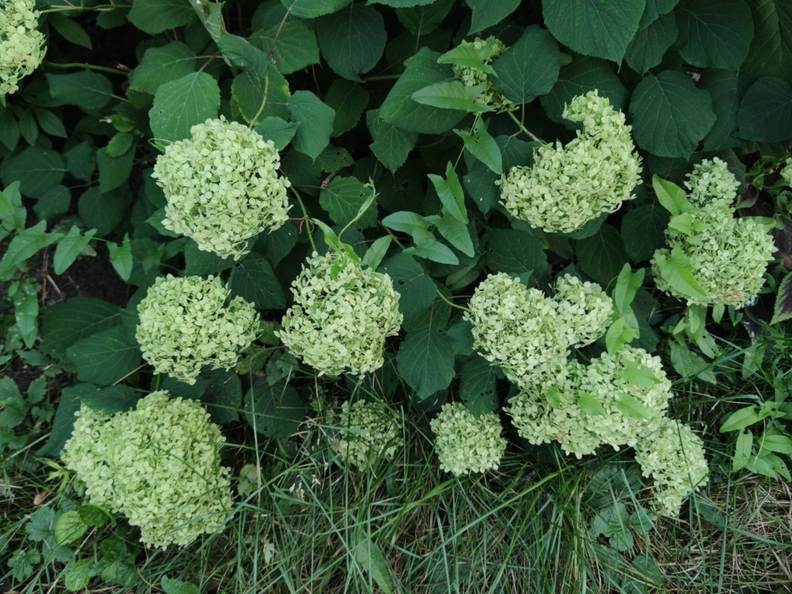 Дарьи Святохиной.