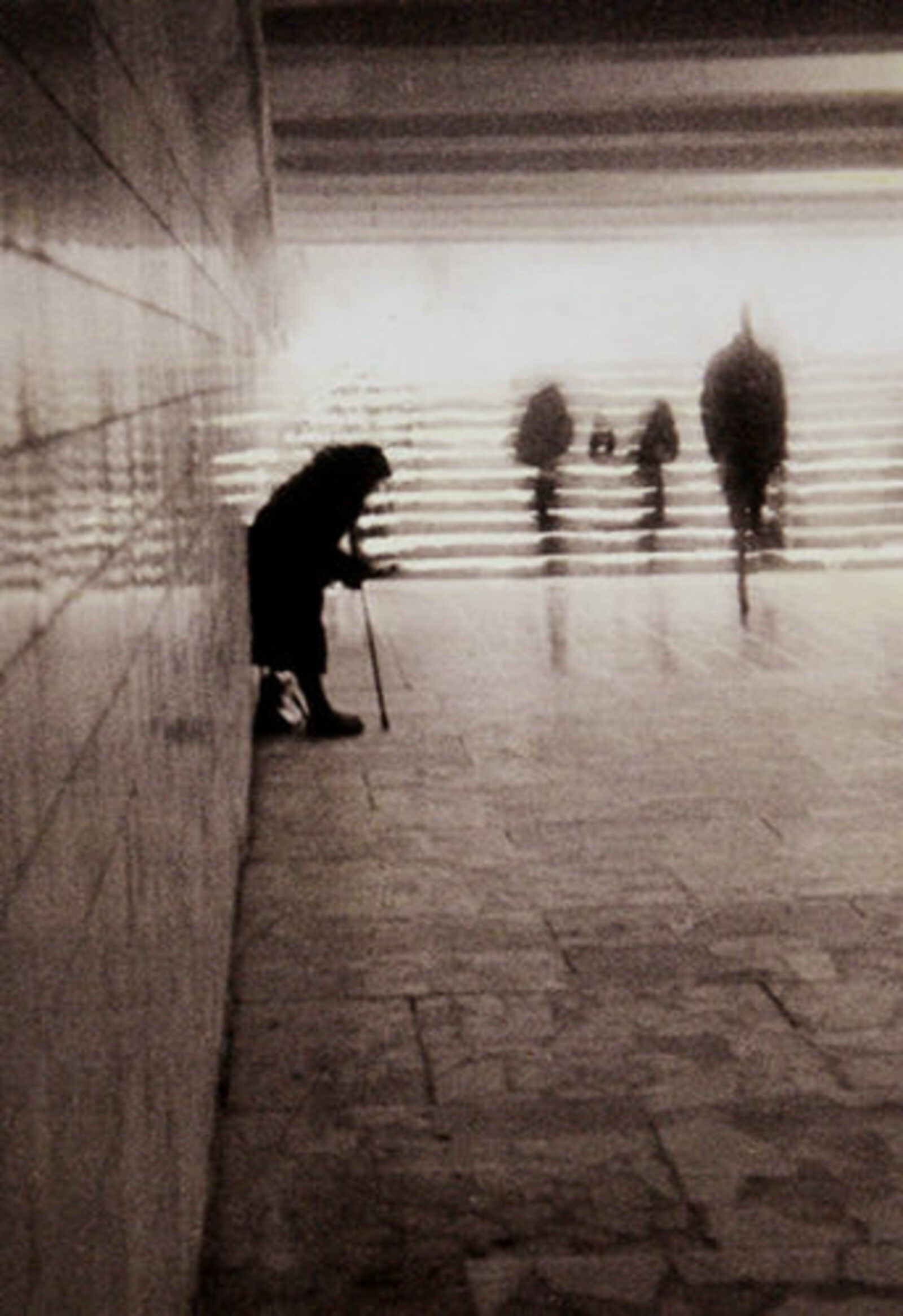 Фото с сайта www.fishup.ru.