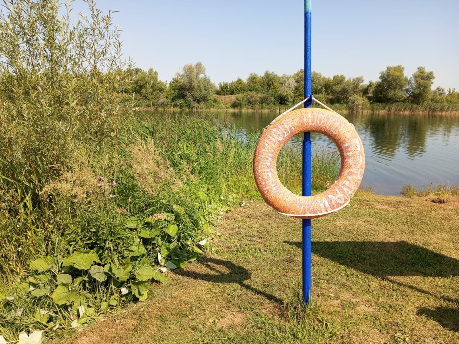 Евгении Сюткиной.