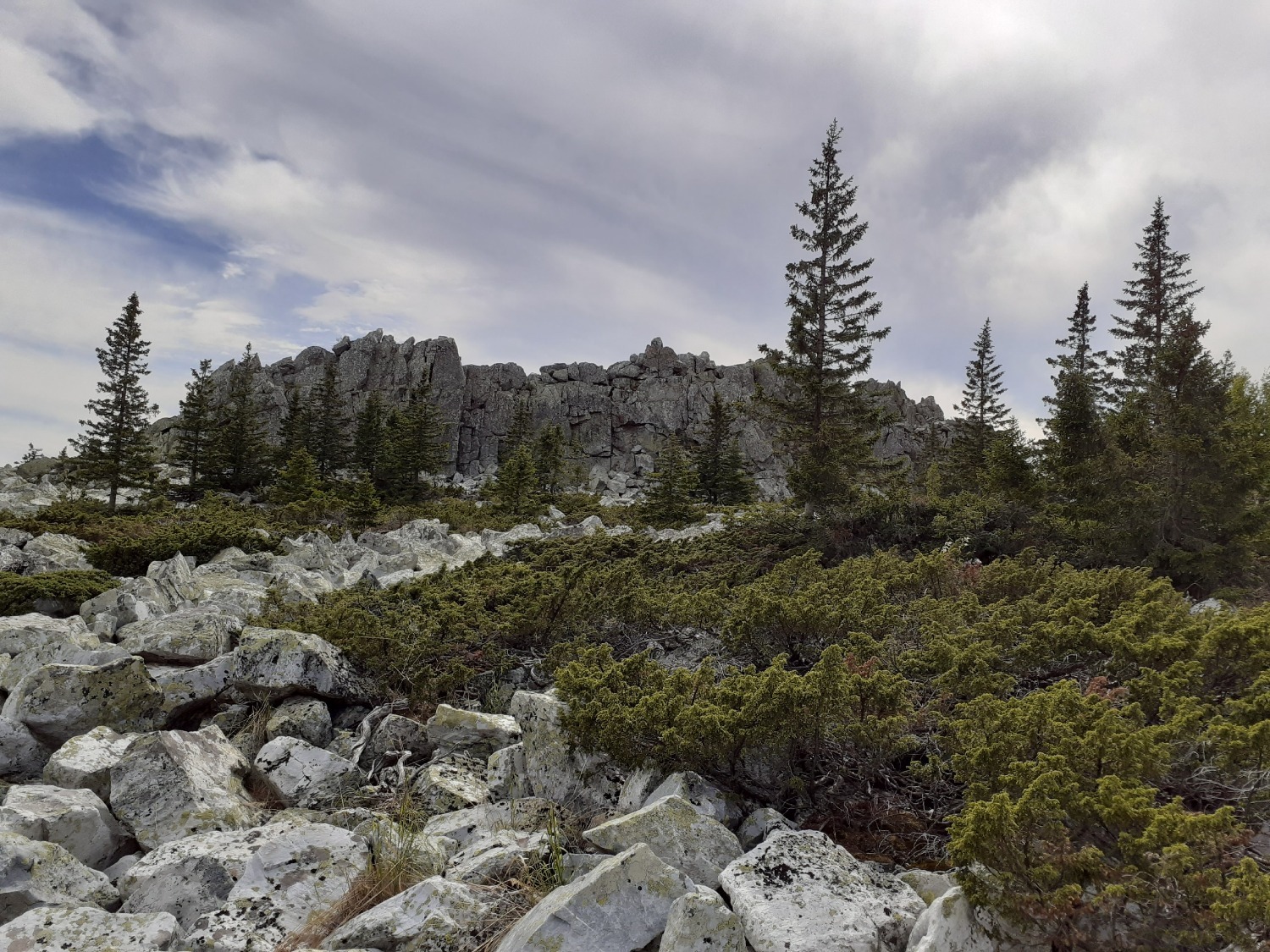 Владимира Шакиева.