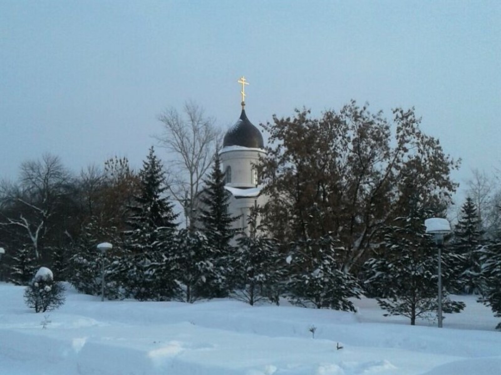 Фото автора.